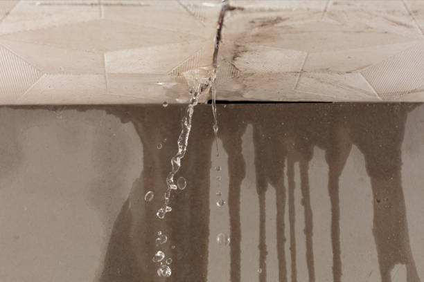 Professional Burst Pipe Cleanup technician working in Yorkshire, VA
